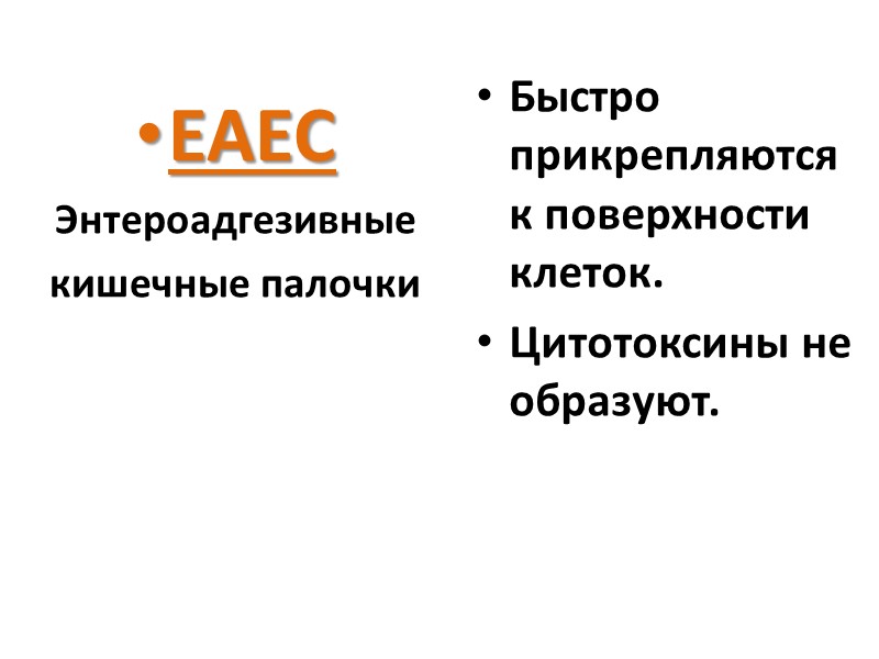 EAEC Энтероадгезивные кишечные палочки  Быстро прикрепляются к поверхности клеток. Цитотоксины не образуют.